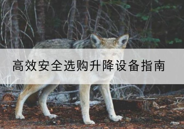 泸溪升降货梯厂家推荐-*安全选购升降设备指南