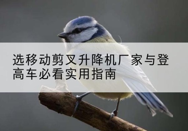 泸溪电动升降机厂家-选移动剪叉升降机厂家与登高车必看实用指南
