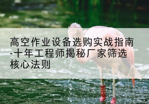 泸溪剪叉式升降机厂家-高空作业设备选购实战指南-十年工程师揭秘厂家筛选核心法则